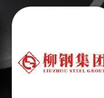 Liuzhou Steel Group